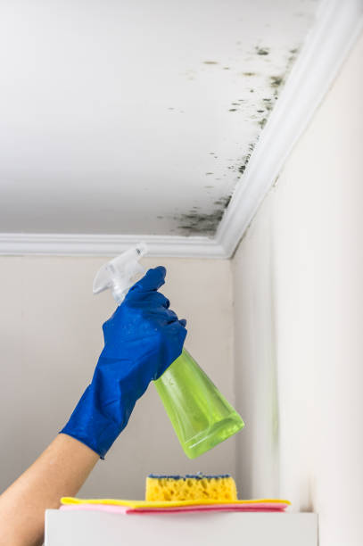 Best Mold Testing  in Wayne, WV